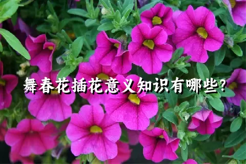 舞春花插花意义知识有哪些？