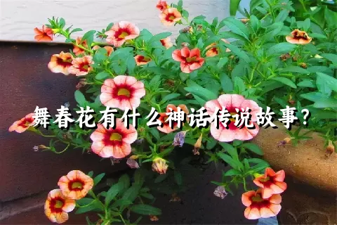 舞春花有什么神话传说故事？