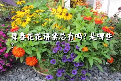 舞春花花语禁忌有吗？是哪些？