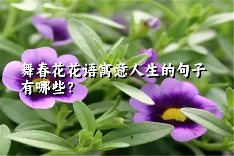 舞春花花语寓意人生的句子有哪些？