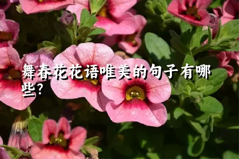 舞春花花语唯美的句子有哪些？