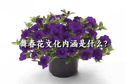 舞春花文化内涵是什么？