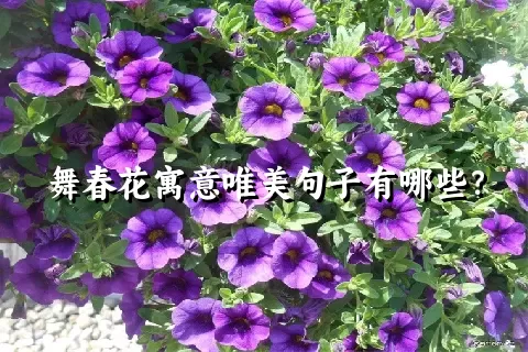 舞春花寓意唯美句子有哪些？