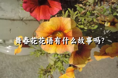 舞春花花语有什么故事吗？