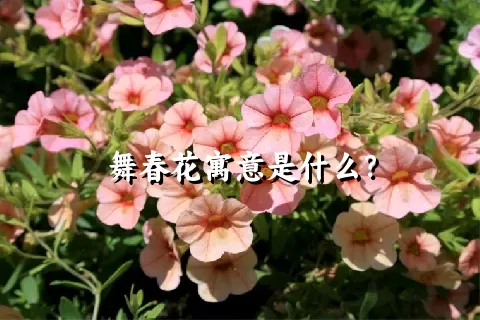 舞春花寓意是什么？