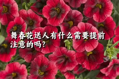 舞春花送人有什么需要提前注意的吗？