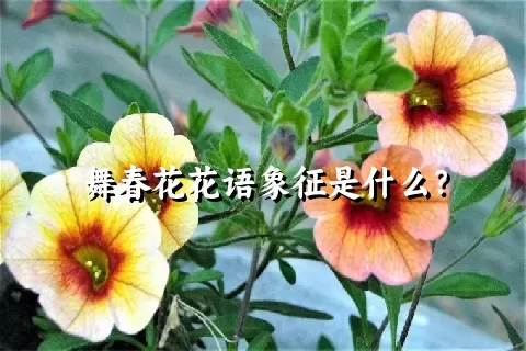 舞春花花语象征是什么？