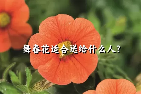 舞春花适合送给什么人？