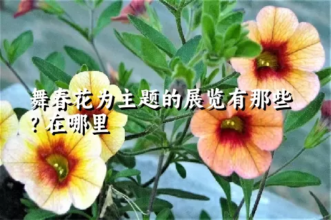 舞春花为主题的展览有那些？在哪里