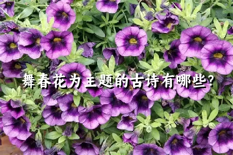 舞春花为主题的古诗有哪些？