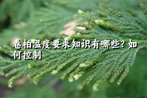 卷柏温度要求知识有哪些？如何控制