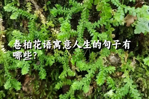 卷柏花语寓意人生的句子有哪些？