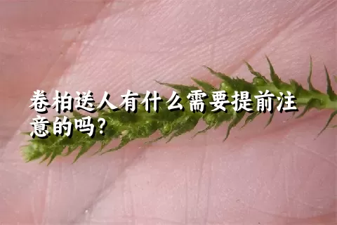 卷柏送人有什么需要提前注意的吗？