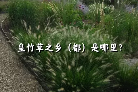 皇竹草之乡（都）是哪里？