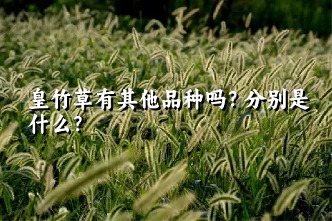 皇竹草有其他品种吗？分别是什么？