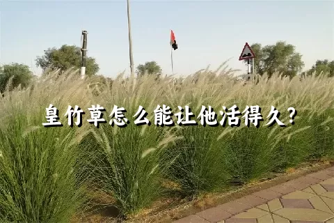 皇竹草怎么能让他活得久？