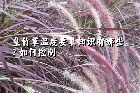 皇竹草温度要求知识有哪些？如何控制