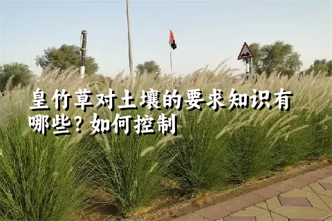 皇竹草对土壤的要求知识有哪些？如何控制