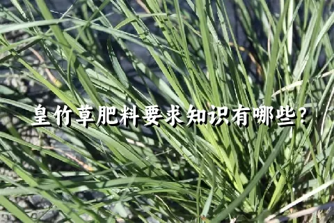 皇竹草肥料要求知识有哪些？