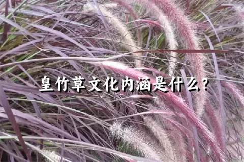 皇竹草文化内涵是什么？