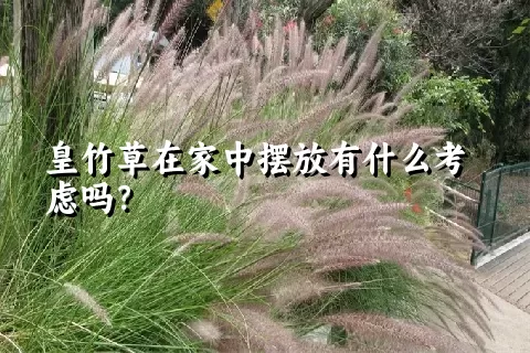 皇竹草在家中摆放有什么考虑吗？