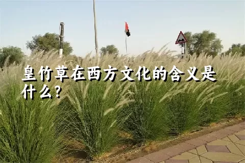 皇竹草在西方文化的含义是什么？