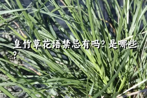 皇竹草花语禁忌有吗？是哪些？