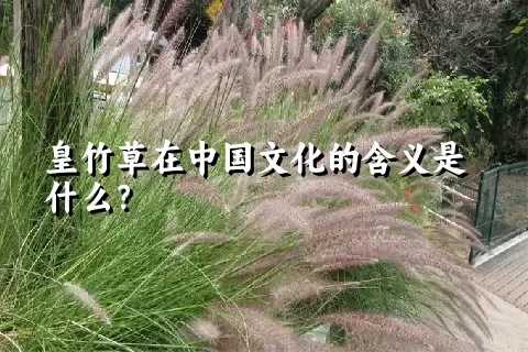 皇竹草在中国文化的含义是什么？