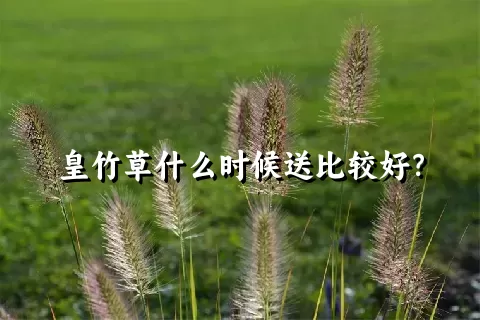 皇竹草什么时候送比较好？