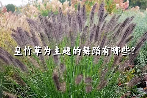 皇竹草为主题的舞蹈有哪些？