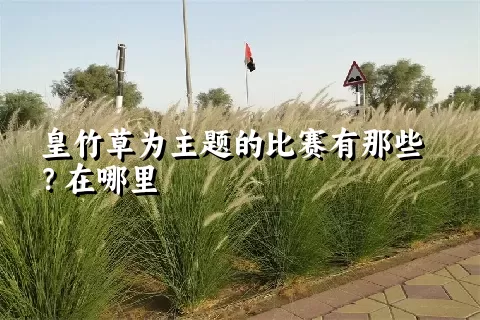 皇竹草为主题的比赛有那些？在哪里