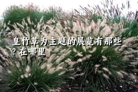 皇竹草为主题的展览有那些？在哪里