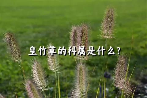 皇竹草的科属是什么？