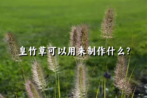 皇竹草可以用来制作什么？