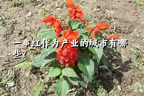 一串红作为产业的城市有哪些？