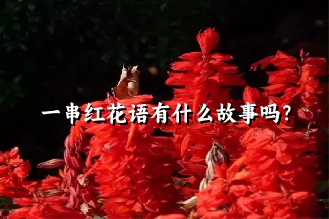 一串红花语有什么故事吗？