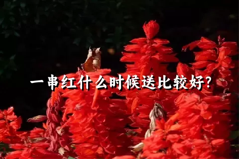 一串红什么时候送比较好？