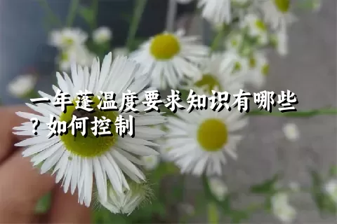 一年蓬温度要求知识有哪些？如何控制