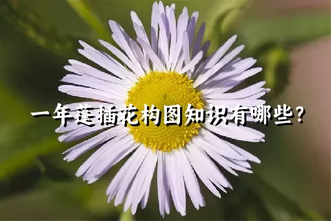 一年蓬插花构图知识有哪些？