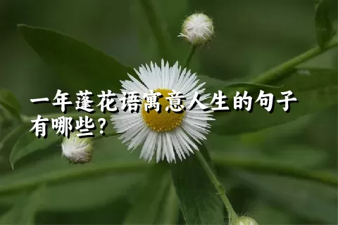 一年蓬花语寓意人生的句子有哪些？