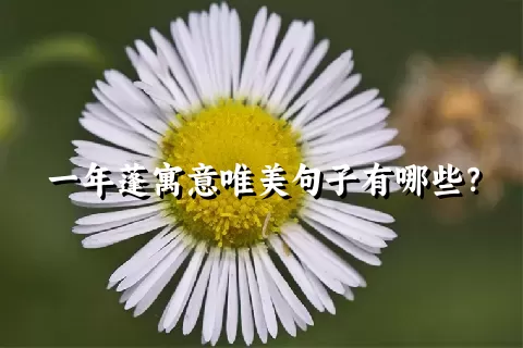 一年蓬寓意唯美句子有哪些？