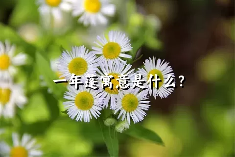 一年蓬寓意是什么？