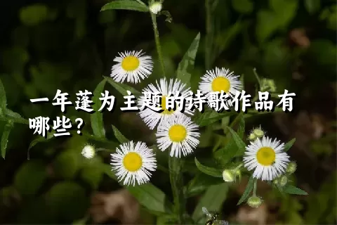 一年蓬为主题的诗歌作品有哪些？