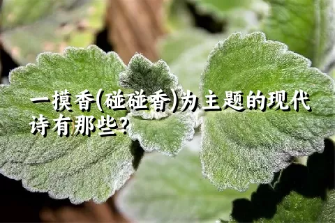 一摸香(碰碰香)为主题的现代诗有那些？