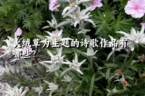 火绒草为主题的诗歌作品有哪些？