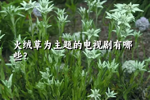 火绒草为主题的电视剧有哪些？