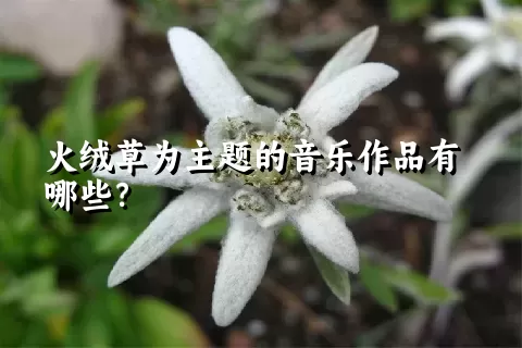 火绒草为主题的音乐作品有哪些？