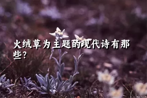 火绒草为主题的现代诗有那些？