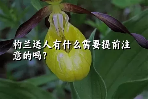 杓兰送人有什么需要提前注意的吗？