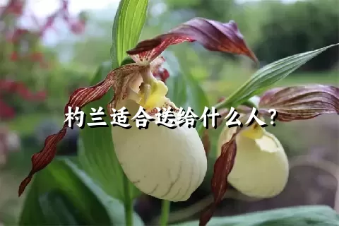 杓兰适合送给什么人？